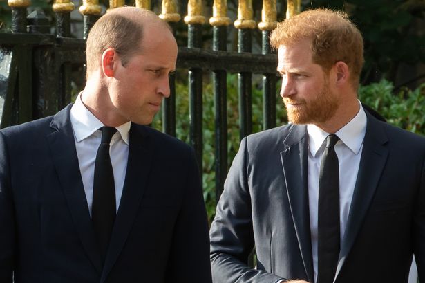 Prince William and Prince Harry standing side by side 