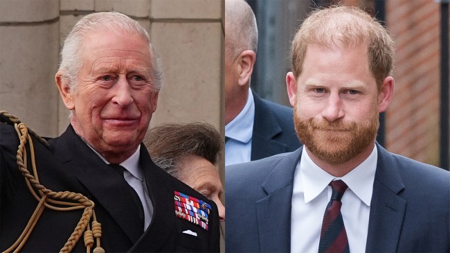 Prince Harry & King Charles Update Amid William Feud Rumors