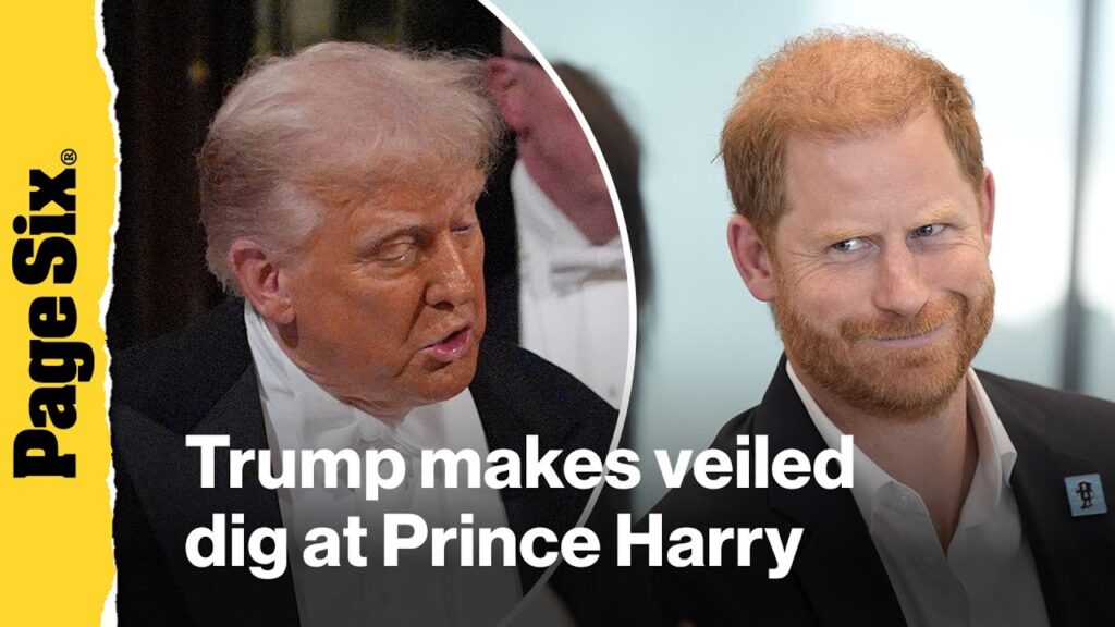 Donald Trump makes thinly veiled dig at Prince Harry