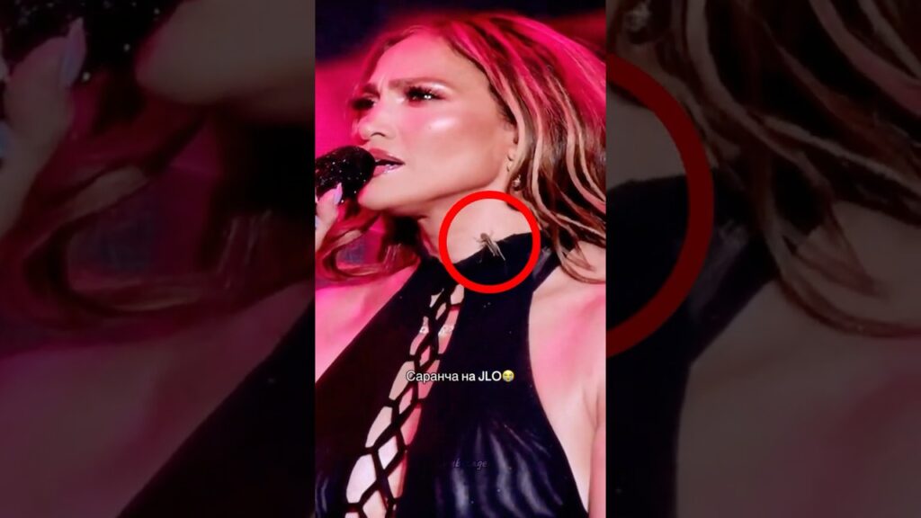 Jennifer Lopez versus the Cricket 😂