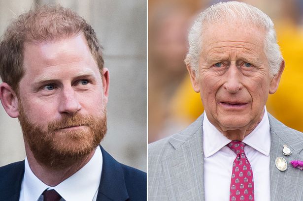 Prince Harry and King Charles