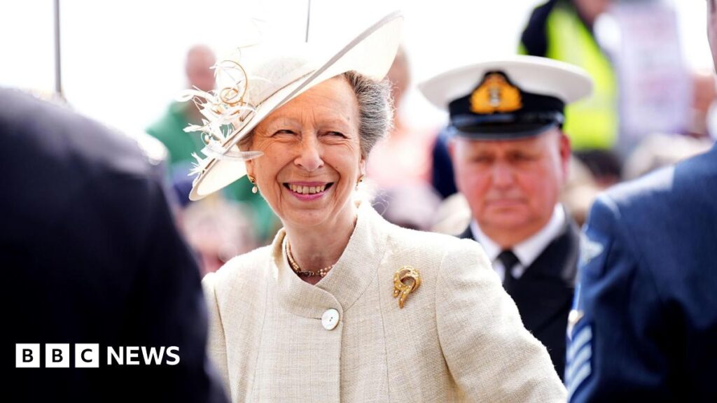 Princess Anne to visit Jersey in November Princess Anne is smiling at a man blurred in the foreground. There is a man in naval uniform blurred behind her. She is wearing a pale fawn hat tilted on her hair which is pinned back from her face and a pale fawn coloured jacket with a Mandarin collar and a large button. There is a golden brooch pinned to her jacket.