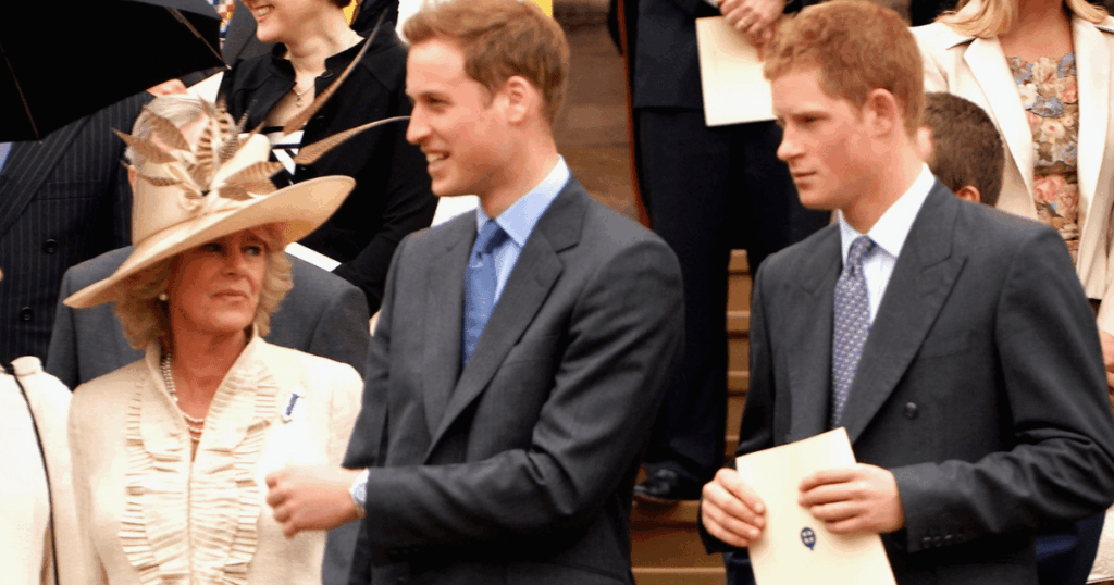 Prince Harry & Prince William Gave 'Cruel' Nicknames to Queen Camilla, Book Claims