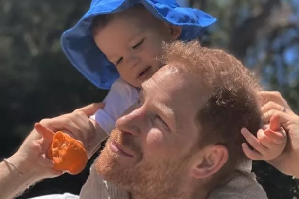 An expert has shared his fears for Prince Harry's children