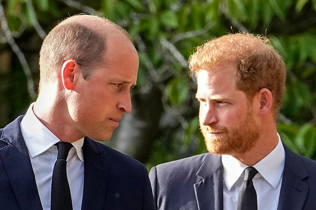 Prince William and Prince Harry 