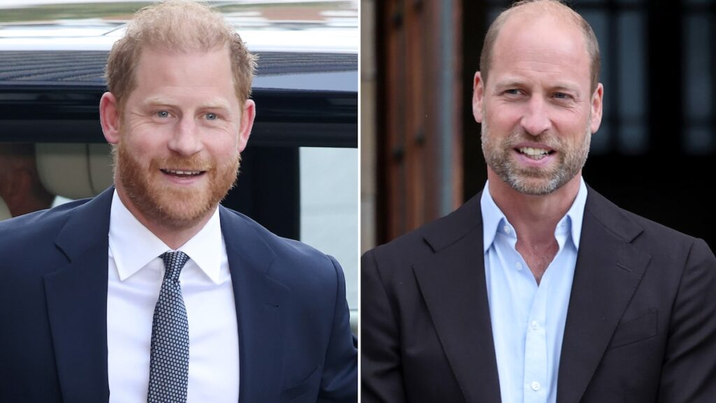 Prince Harry & Prince William Honor Queen Elizabeth Separately Amid Rumors of Royal Meeting