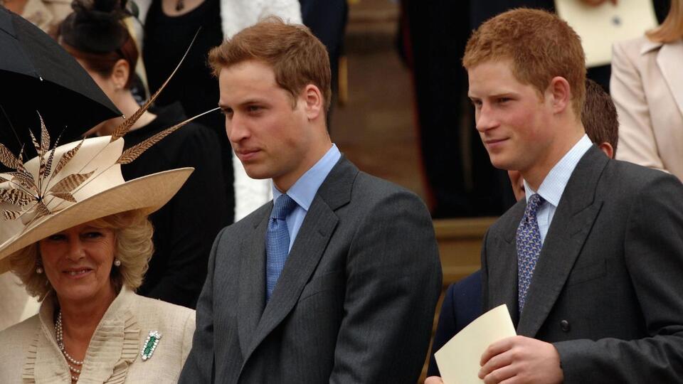 Prince Harry & Prince William Named Their Stepmom ‘Witch of the West,’ Book Claims