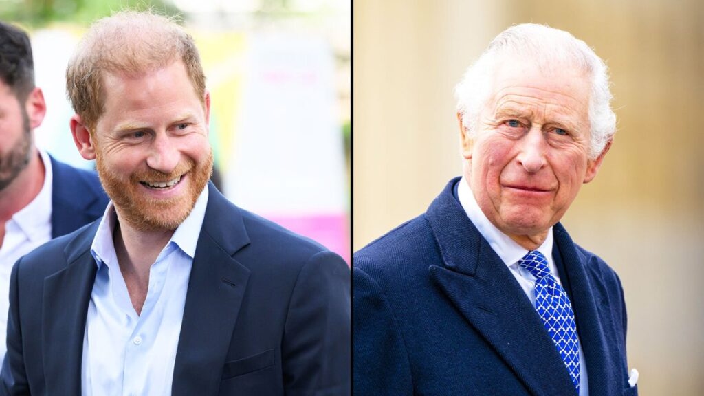 Prince Harry has played a blinder (and he didn’t even get paid) - The Times
