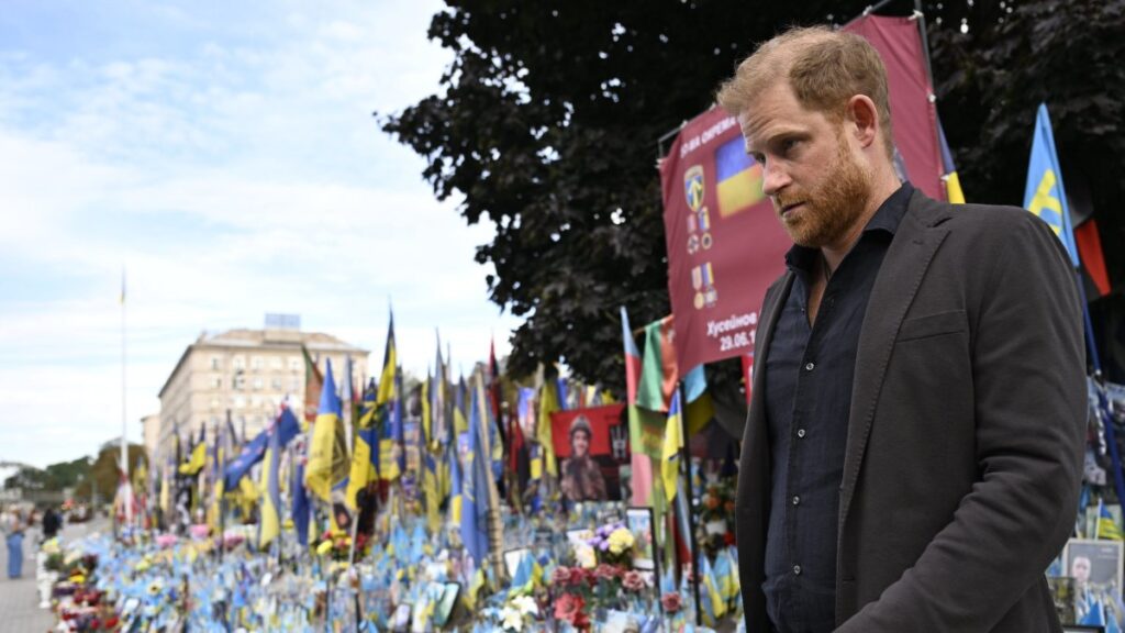 Prince Harry says his ‘conscience is clear’ as he attempts to mend rift - The Times