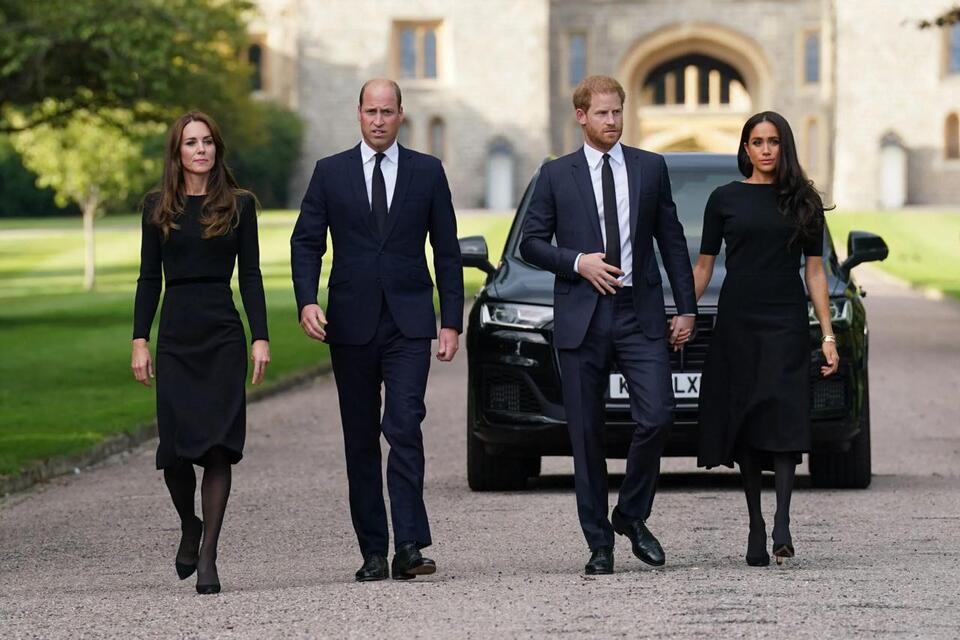 Harry and Meghan 'want to replace' Will and Kate