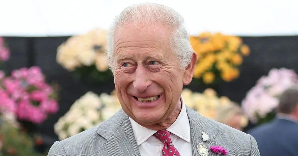 Cancer-Stricken King Charles Gives Major Health Update as He Prepares to Meet Son Prince Harry Face-to-Face for the First Time in Seven Months