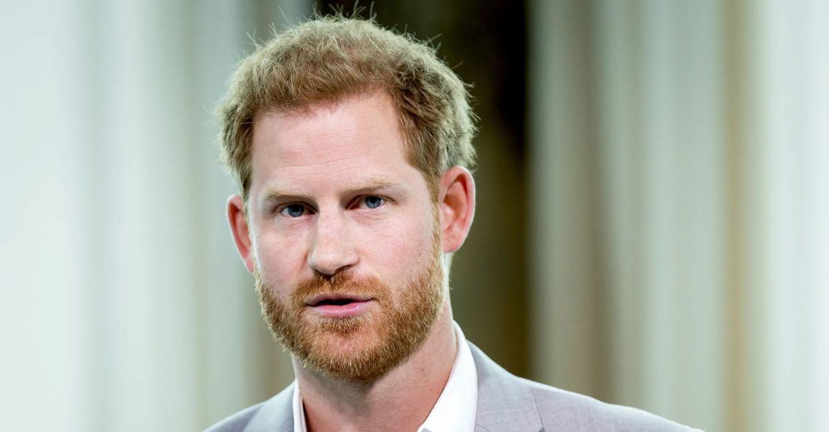 Prince Harry refuses Royal role after reuniting with King Charles?