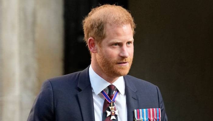 Prince Harry praised for staying 'grounded' despite royal status