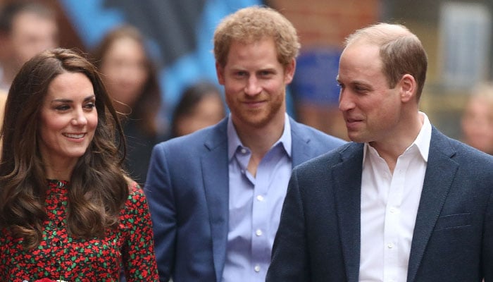 Why Prince William, Kate Middleton avoided Prince Harry during his UK trip?