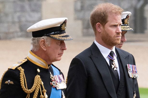 Prince Harry and King Charles