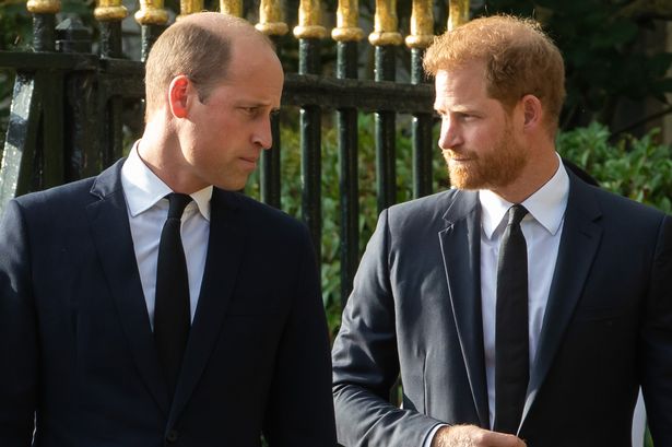Prince William and Prince Harry, both in suits, stood in an outdoor area.
