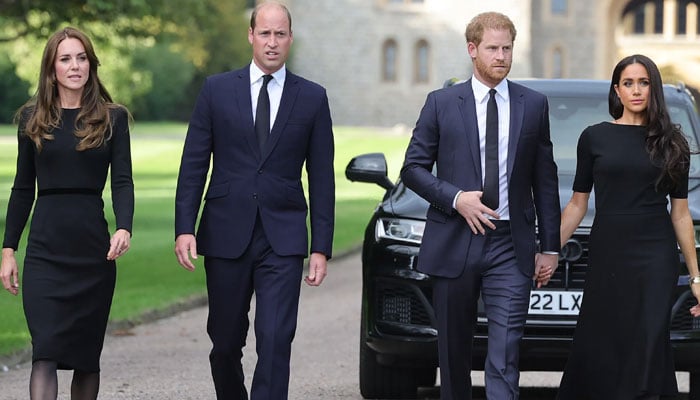 Prince William sending his spies to find out about Meghan, Harrys troublemaking plan