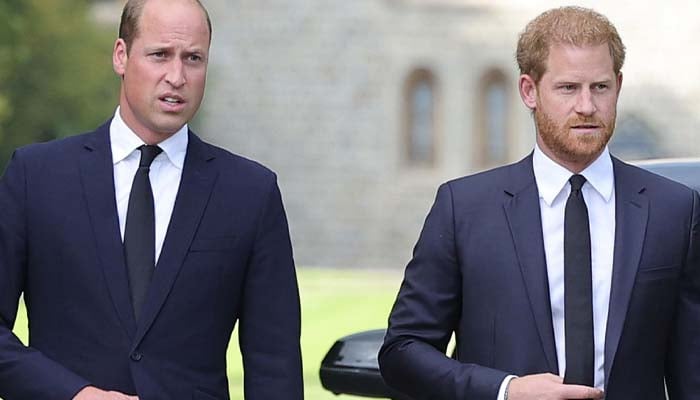 Prince Harry planning to ‘antagonise’ the entire Royal Family by going solo?