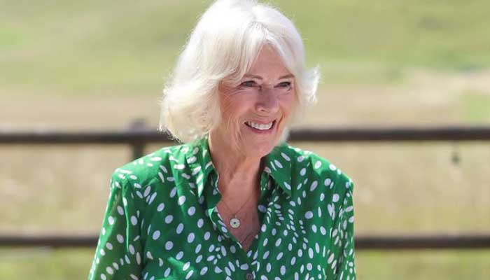 Queen Camillas harrowing confessions to journalist laid bare