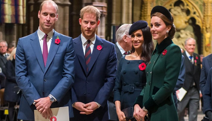 Prince Harry, Meghan just dont fit into Prince Williams monarchy