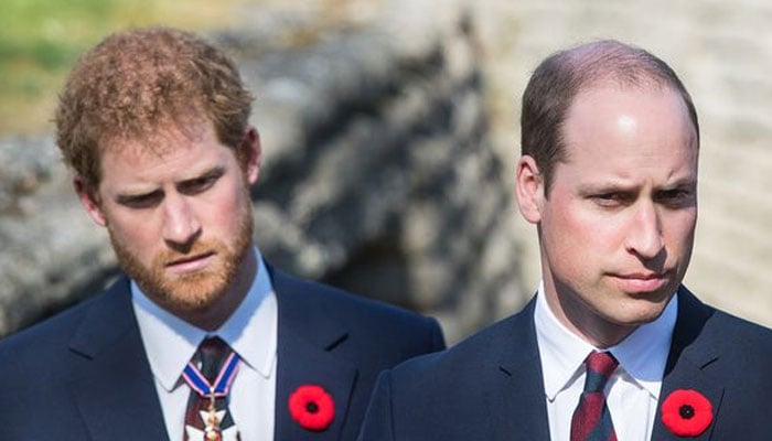 Prince Harry urged to ditch Califronia-speak to become like Prince William