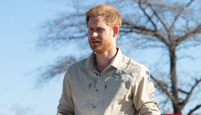Prince Harry rises above royal fallout to keep helping others