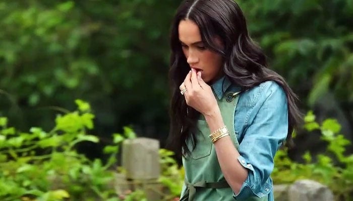Meghan Markle is ‘only being tolerated’: Shock waves ring through royal circles