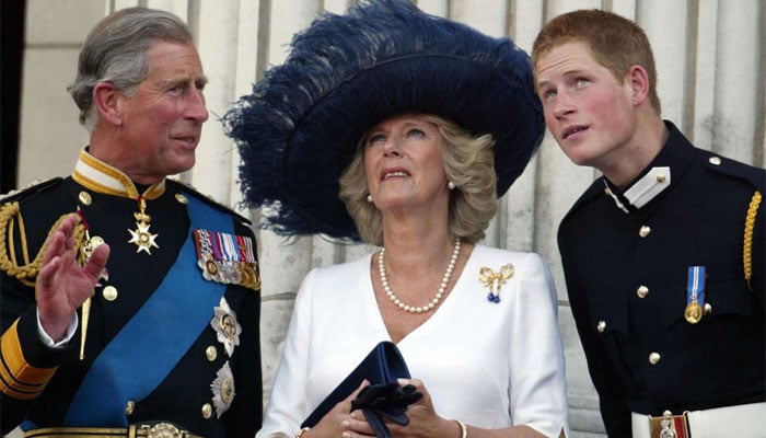 Prince Harry leaves King Charles in tricky position regarding William, Queen Camilla