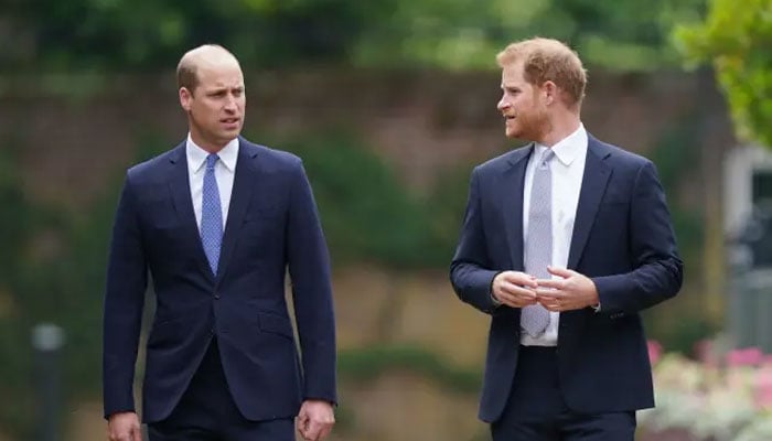 Prince Harry encouraged to take responsibility in rebuilding relationship with William