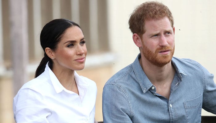 Prince Harry apologizes to King Charles for Meghans hurtful public remarks