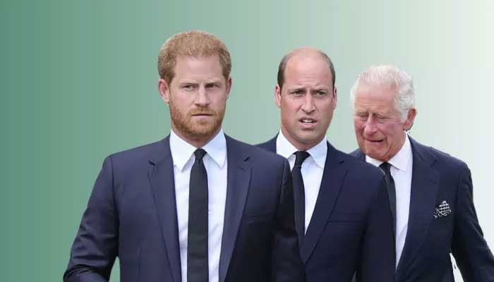 Everything King Charles did for Prince William, Harry after Diana’s death comes out
