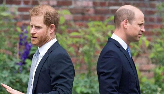 Prince Harry accused of stirring tension between King Charles, Prince William