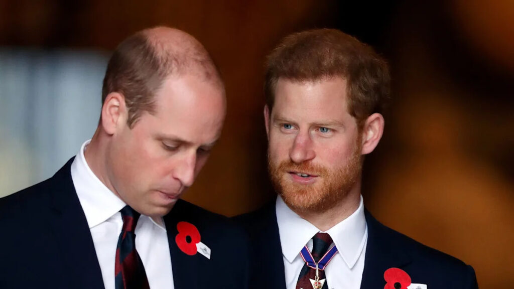 Prince William Infuriated Over Prince Harry’s “Master Plan,” Throws Anyone Who Mentions Him Out