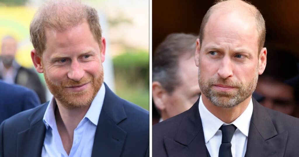 Prince Harry and Prince William tipped to 'embrace soon' despite feud | Royal | News