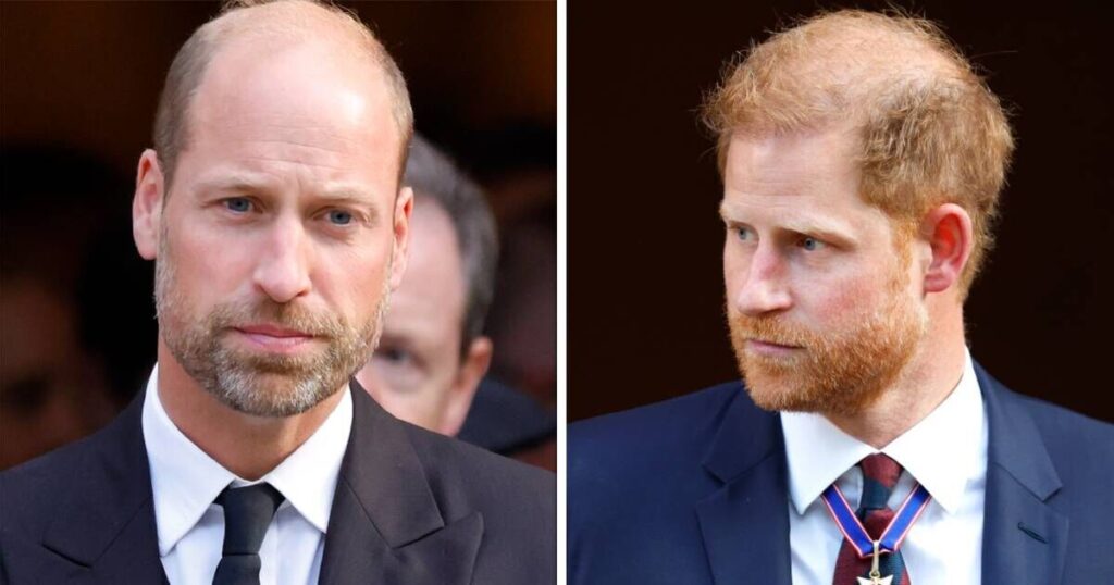 Prince Harry and Prince William united over 'guilty pleasure' | Royal | News