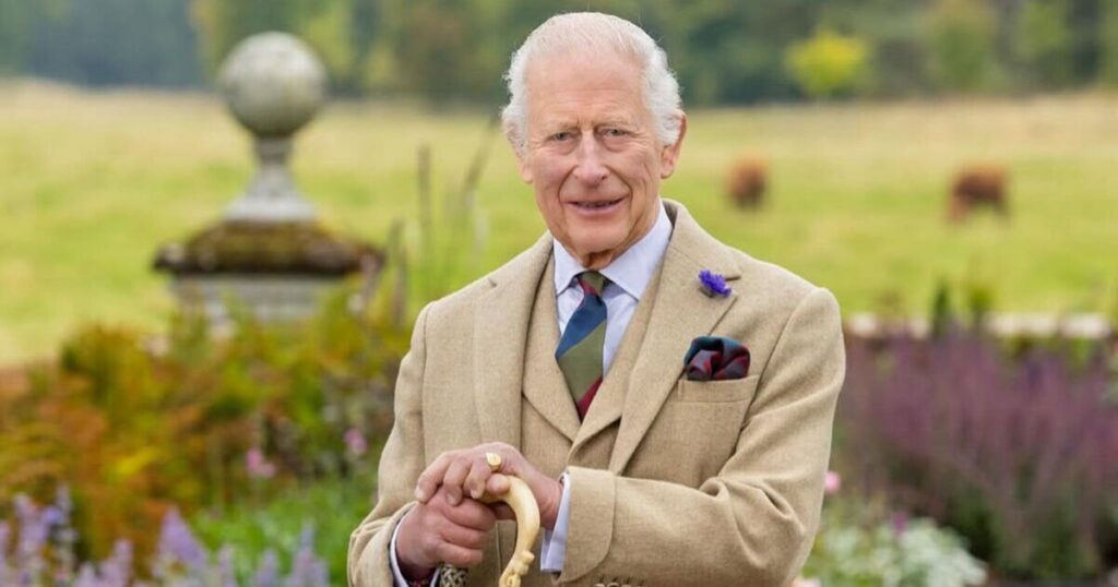 Eagle-eyed fans spot key change in the King's new official portrait | Royal | News