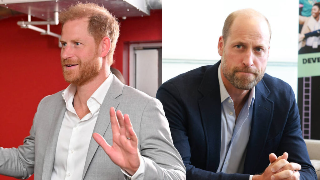 Royal brothers avoid each other with separate engagements amid hopes of a 'reunion between Harry and Charles'