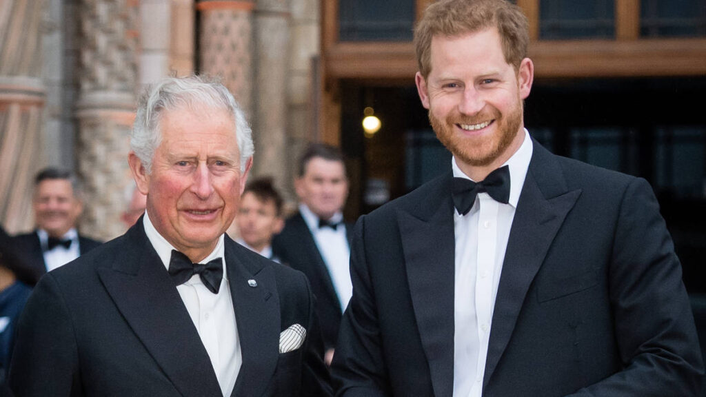 Charles ‘saddened and perplexed’ as Harry accuses palace aides of sabotaging reconciliation Charles 'saddened and perplexed' as Harry accuses palace aides of sabotaging reconciliation