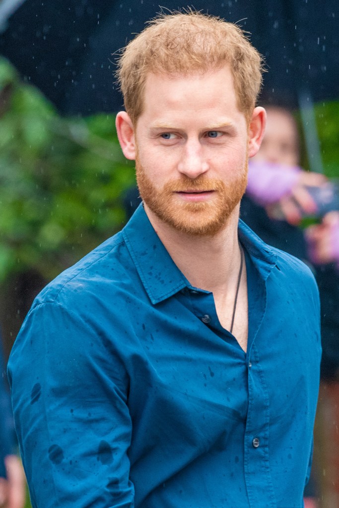Prince Harry in blue shirt