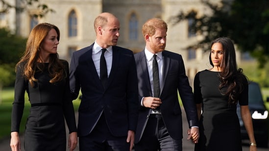 Prince Harry and Prince William’s throwback video outside Windsor Castle has left royal fans nostalgic.(AFP)