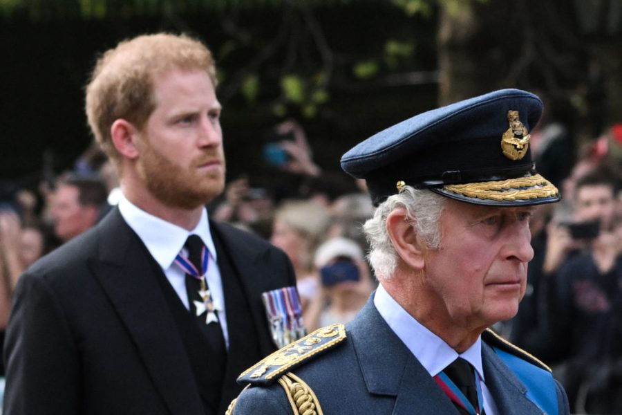 Harry and Charles’s ‘reunion’ will never be free from sabotage