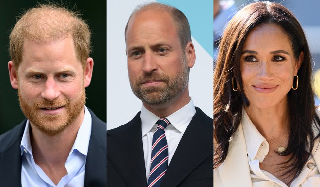 Prince Harry & Meghan Markle's Response to William's on Reluctant Traveler