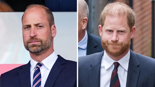 Prince Harry Shades William Amid King Charles Reconciliation Rumors
