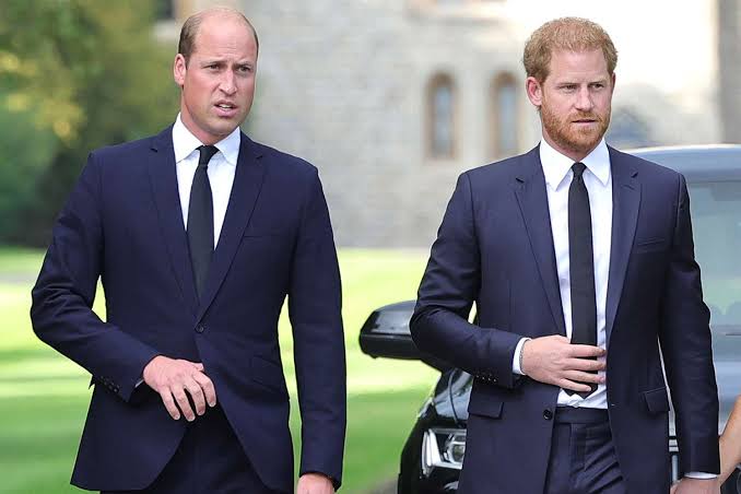 Prince Harry and Prince William, attending a royal event.