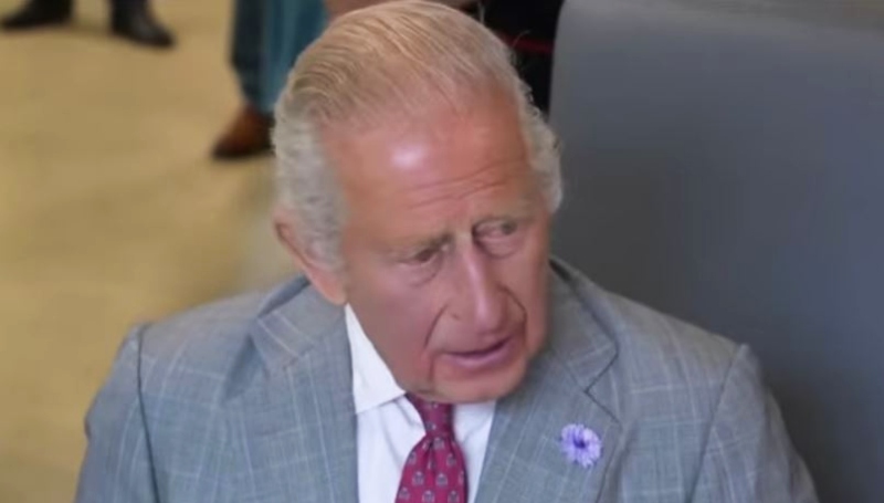 King Charles - 9 News Australia - YouTube