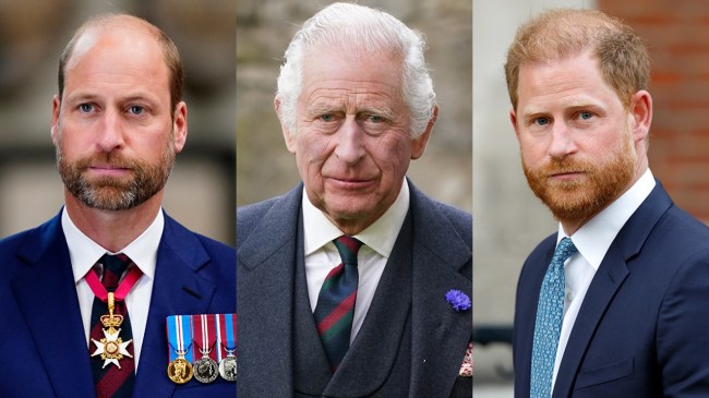 Prince William & King Charles' Relationship Amid Harry Reunion