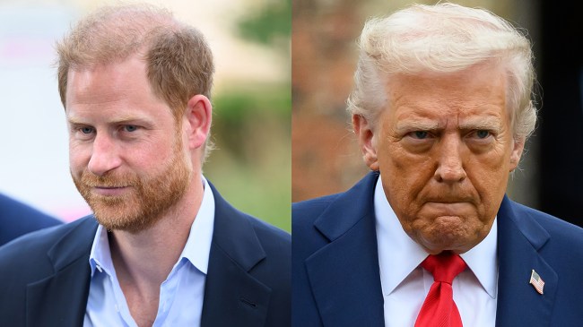 Prince Harry & Donald Trump's Relationship After State Visit Shade