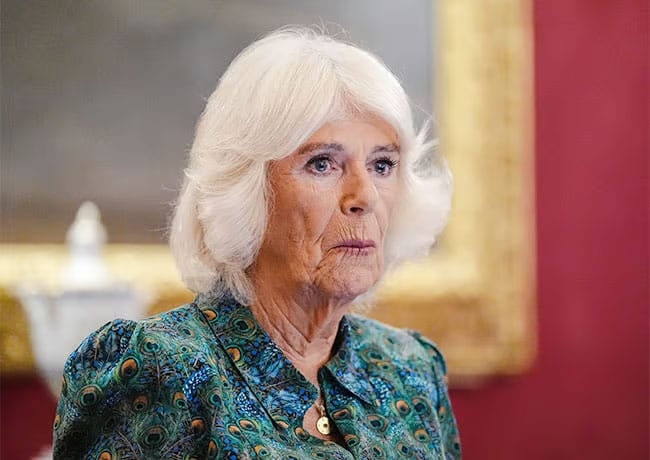Queen Camilla 70th anniversary Book Aid International