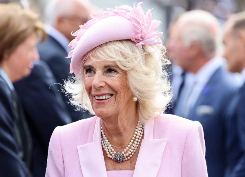 Queen Camilla’s Reported Reaction to Harry & Charles Reunion Queen Camilla's Reported Reaction to Harry & Charles Reunion
