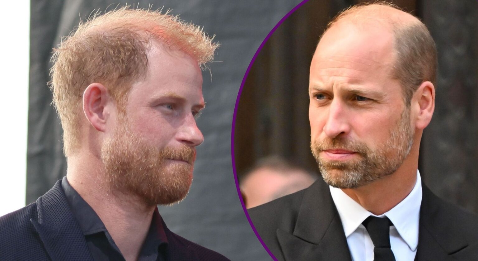 Prince Harry recalls memory with brother William in Disneyland special